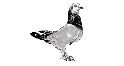 File:Logo-baps.png