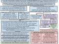 Omni Event Insurance Flowchart (WIP-dk).png
